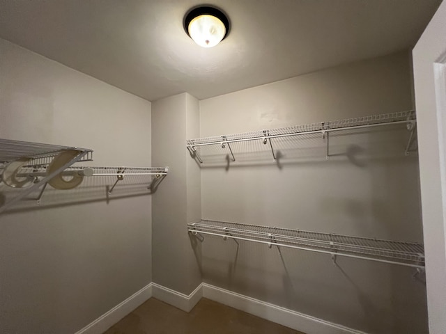 2541 Lagrange Trl, Tallahassee, FL 32312 - view of spacious closet