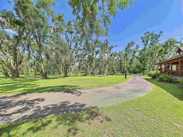3696 Joel Aman Rd, Perry, FL 32347 - view of grassy yard