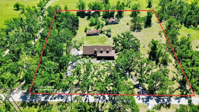 3696 Joel Aman Rd, Perry, FL 32347 - view of rural area featuring property boundaries highlighted