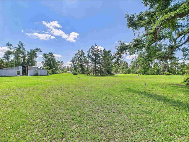 3696 Joel Aman Rd, Perry, FL 32347 - view of grassy yard