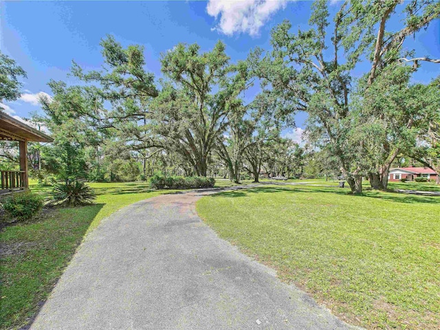 3696 Joel Aman Rd, Perry, FL 32347 - view of street
