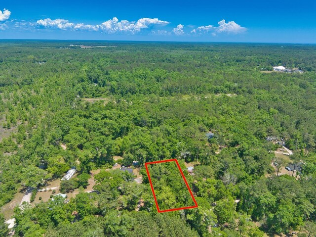 0 Donaldson Williams Rd, Crawfordville, FL 32327 - photo 5