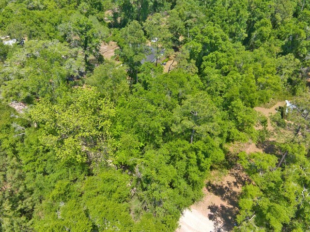 0 Donaldson Williams Rd, Crawfordville, FL 32327 - photo 7
