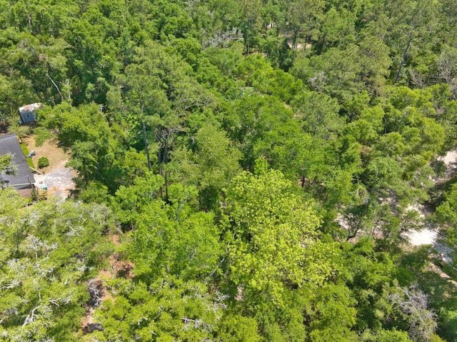 0 Donaldson Williams Rd, Crawfordville, FL 32327 - photo 6