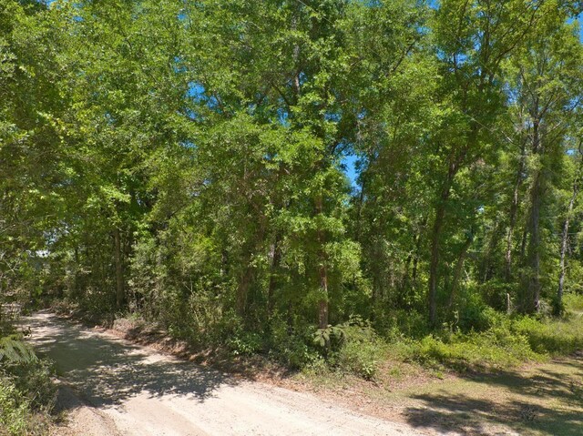 0 Donaldson Williams Rd, Crawfordville, FL 32327 - photo 4