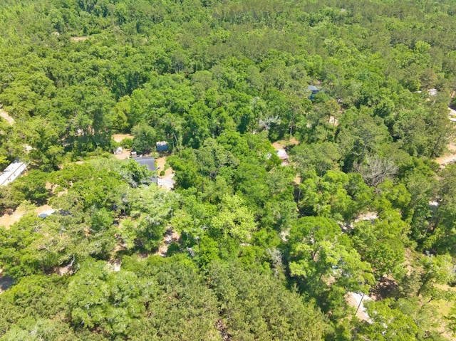 0 Donaldson Williams Rd, Crawfordville, FL 32327 - photo 8