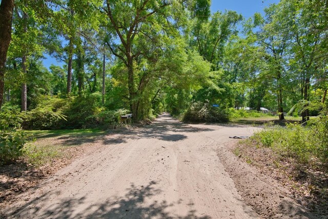 0 Donaldson Williams Rd, Crawfordville, FL 32327 - photo 10