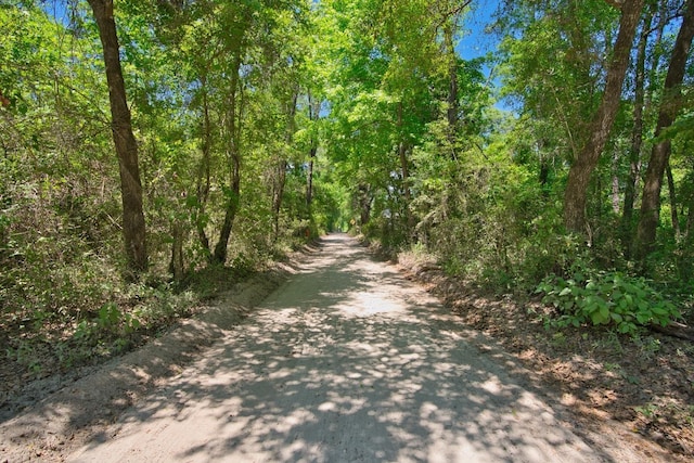 0 Donaldson Williams Rd, Crawfordville, FL 32327 - photo 3