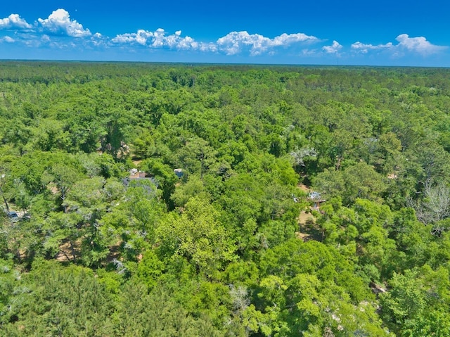 0 Donaldson Williams Rd, Crawfordville, FL 32327 - photo 9