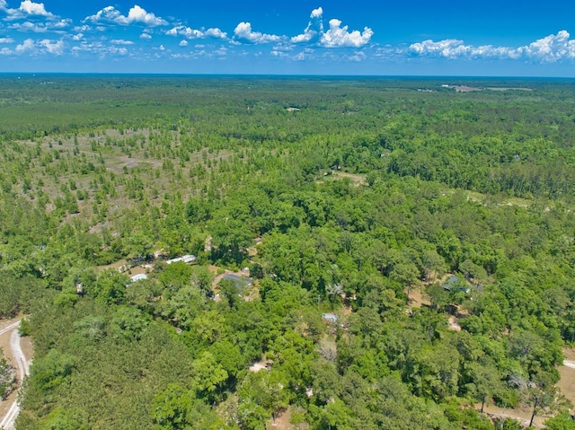 0 Donaldson Williams Rd, Crawfordville, FL 32327 - photo 1