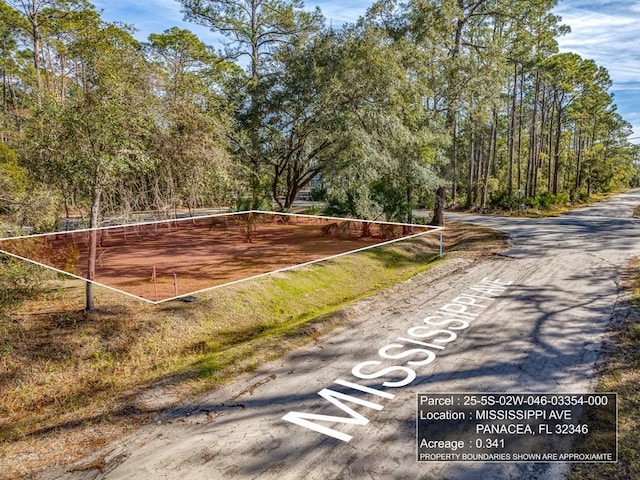 XX Mississippi Ave, Panacea FL, 32346 land for sale