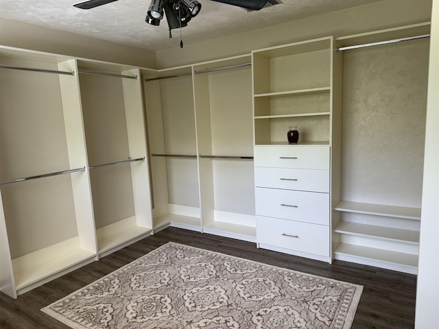 3726 Wicklow Cir, Tallahassee, FL 32309 - view of closet