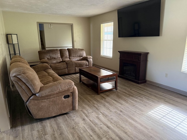 3726 Wicklow Cir, Tallahassee, FL 32309 - living room featuring wood finished floors, a textured ceiling, and a fireplace