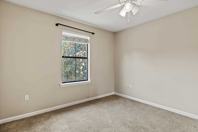 2300 Timber Oaks Ln Bldg 1, Tallahassee, FL 32304 - photo 23