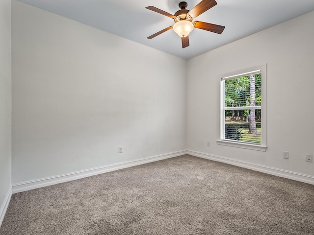 260 Sand Pine Trl, Crawfordville, FL 32327 - photo 24