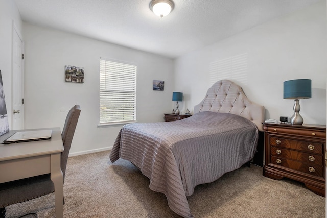8204 Chickasaw Trl, Tallahassee, FL 32312 - photo 15