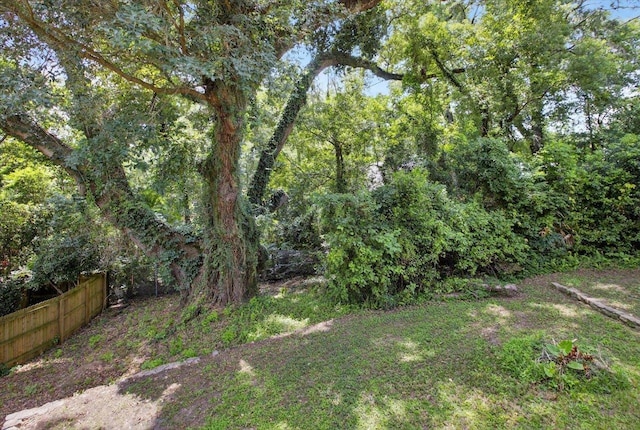508 Talaflo St, Tallahassee, FL 32308 - photo 61