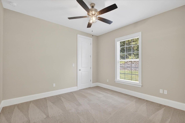 518 Knotted Pine Dr, Tallahassee, FL 32312 - photo 28