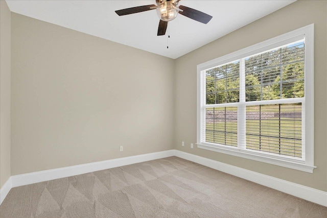 518 Knotted Pine Dr, Tallahassee, FL 32312 - photo 31