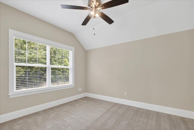 518 Knotted Pine Dr, Tallahassee, FL 32312 - photo 35