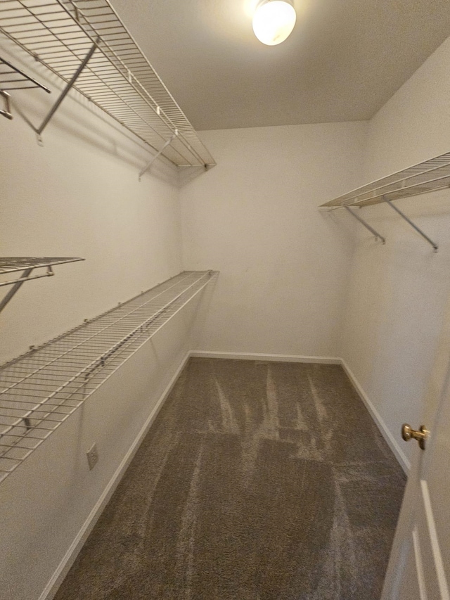2943 Tewkesbury Trce, Tallahassee, FL 32309 - spacious closet featuring carpet flooring