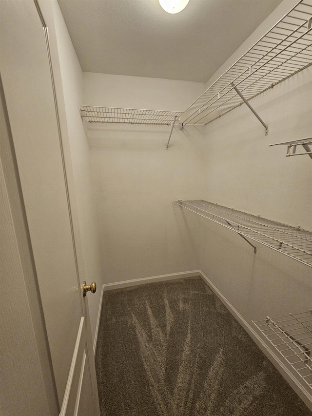 2943 Tewkesbury Trce, Tallahassee, FL 32309 - spacious closet with carpet floors