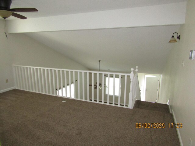 3532 Daylily Ln, Tallahassee, FL 32308 - photo 17