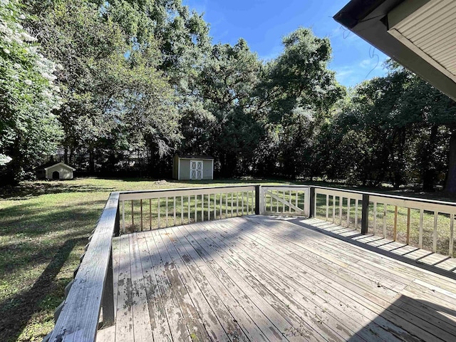 6842 Tomy Lee Trl, Tallahassee, FL 32309 - wooden terrace featuring a lawn and view of wooded area