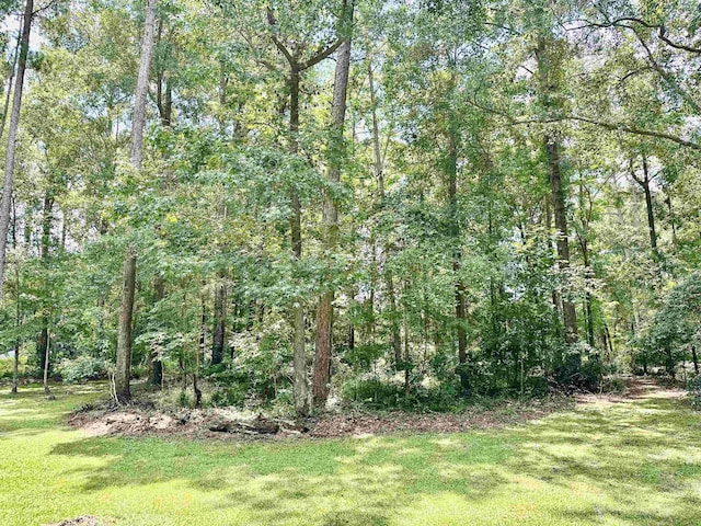 14200 Red Hawk Rd, Tallahassee, FL 32312 - photo 30