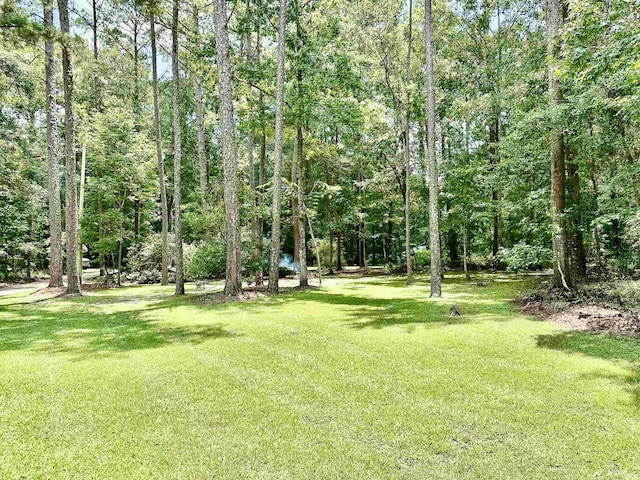14200 Red Hawk Rd, Tallahassee, FL 32312 - photo 29