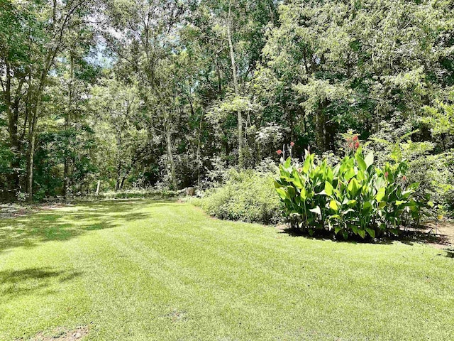 14200 Red Hawk Rd, Tallahassee, FL 32312 - photo 31