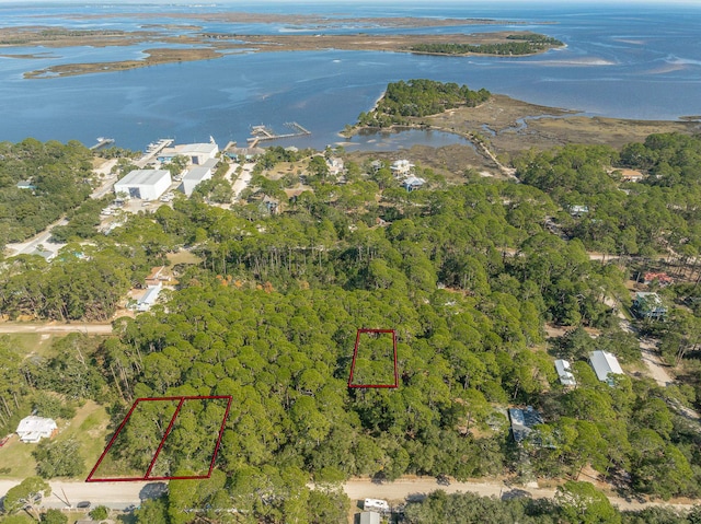 61 Alapaha Ave, Panacea FL, 32346 land for sale