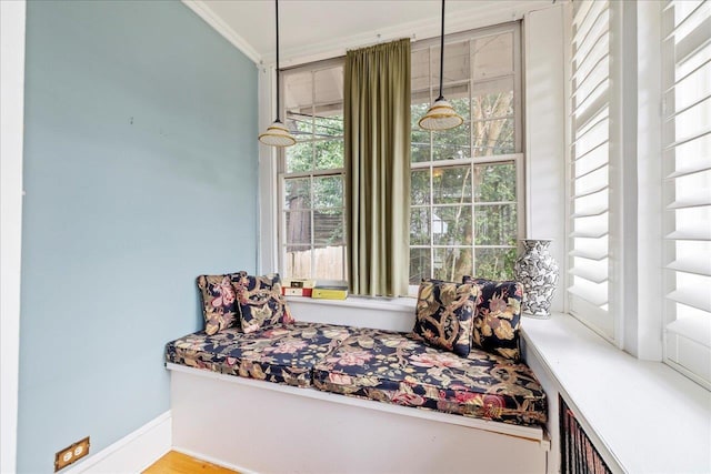 living area with crown molding