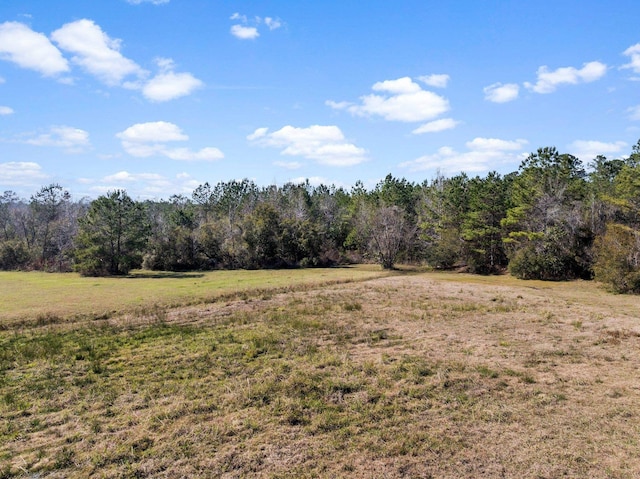 402 Mistletoe Ln, Monticello, FL 32344 - photo 1