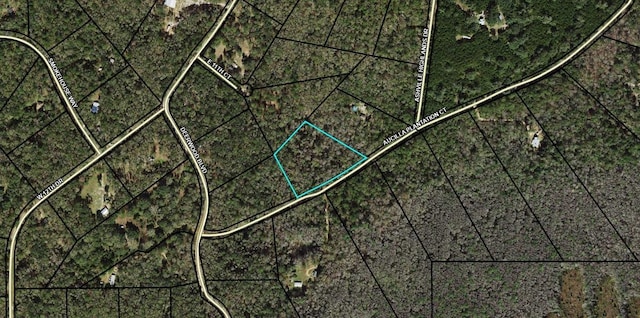 Listing photo 2 for TBD Aucilla Plantation Court, Greenville FL 32331