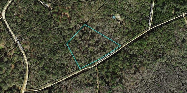 TBD Aucilla Plantation Court, Greenville FL, 32331 land for sale