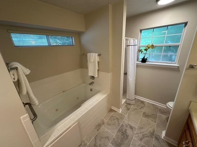 5356 Tewkesbury Trce, Tallahassee, FL 32309 - full bath featuring vanity, a whirlpool tub, healthy amount of natural light, and toilet