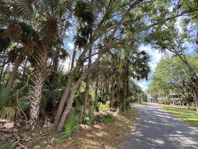 Listing photo 2 for XXX Carrol Dr, Crawfordville FL 32327