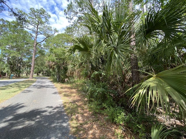 Listing photo 3 for XXX Carrol Dr, Crawfordville FL 32327