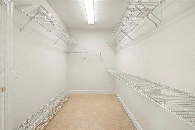 walk in closet with light colored carpet