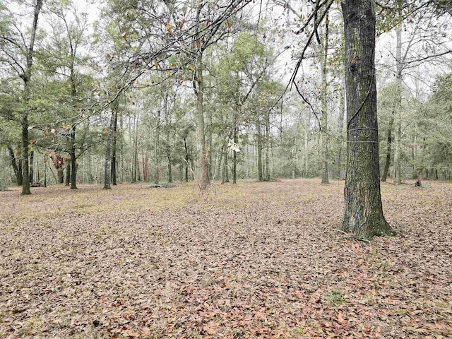 view of local wilderness with a wooded view