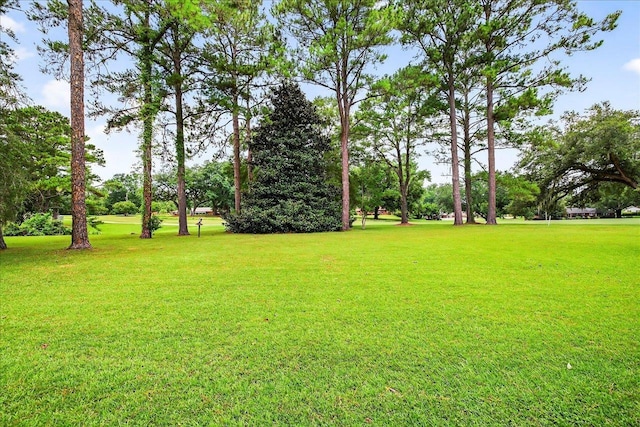 3022 Fermanagh Dr, Tallahassee, FL 32309 - photo 60