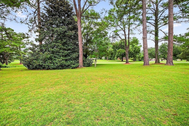3022 Fermanagh Dr, Tallahassee, FL 32309 - photo 62
