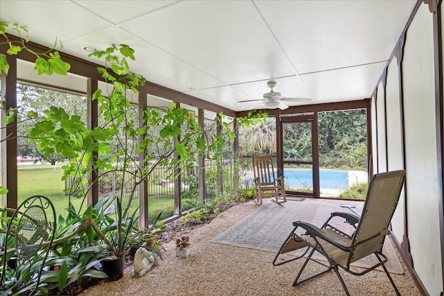 3022 Fermanagh Dr, Tallahassee, FL 32309 - photo 53