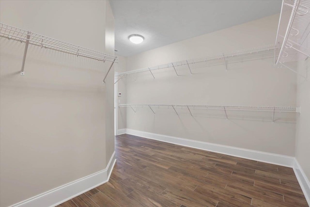 spacious closet with dark wood-type flooring