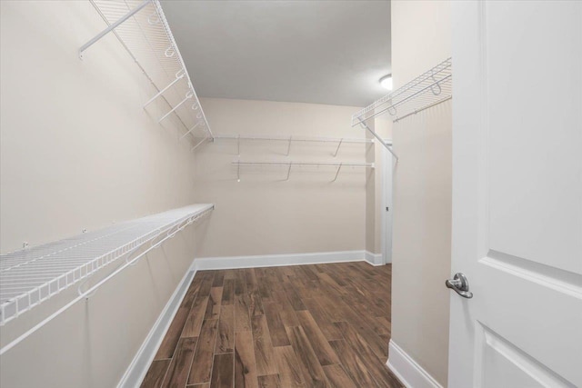 walk in closet with dark hardwood / wood-style floors