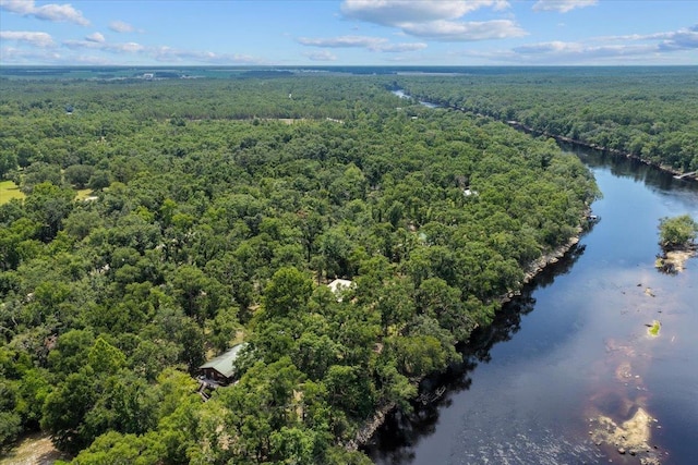 16552 198th Trace, Trace, FL 32071 - drone / aerial view of a heavily wooded area and a large body of water