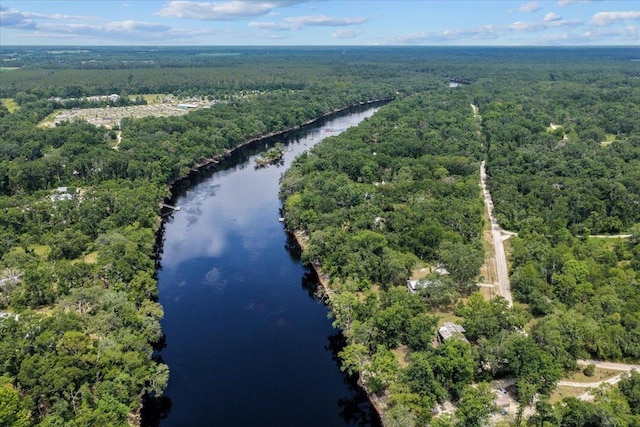 16552 198th Trace, Trace, FL 32071 - aerial view of a forest and a large body of water