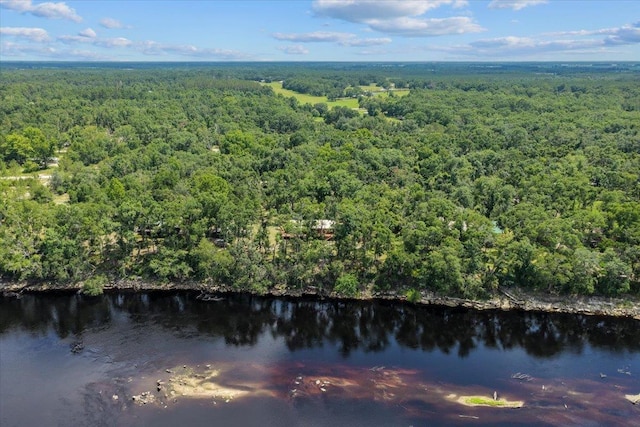 16552 198th Trace, Trace, FL 32071 - aerial view of property and surrounding area featuring a forest and a nearby body of water
