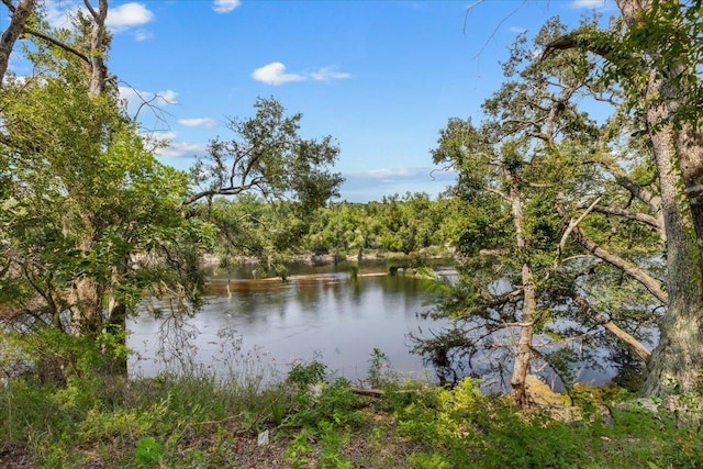 16552 198th Trace, Trace, FL 32071 - water view with a forest